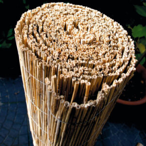 Schilfrohrmatte | SYLT