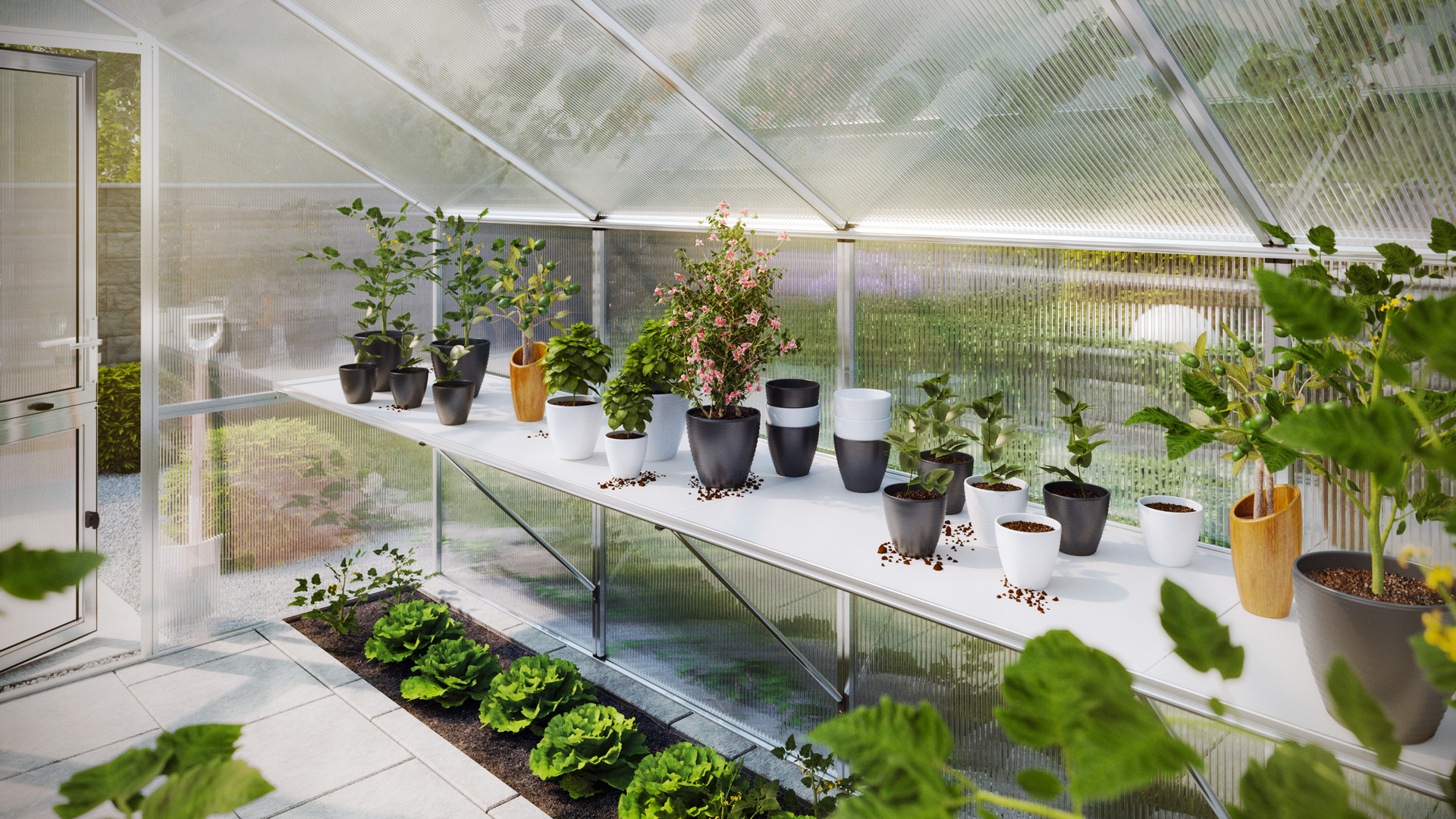 Tischgestell für Gewächshaus Orchidee 1 Tischgestell für Gewächshaus Orchidee