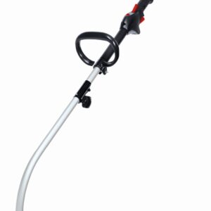 Benzin-Rasentrimmer GC-PT 2538-1 I AS