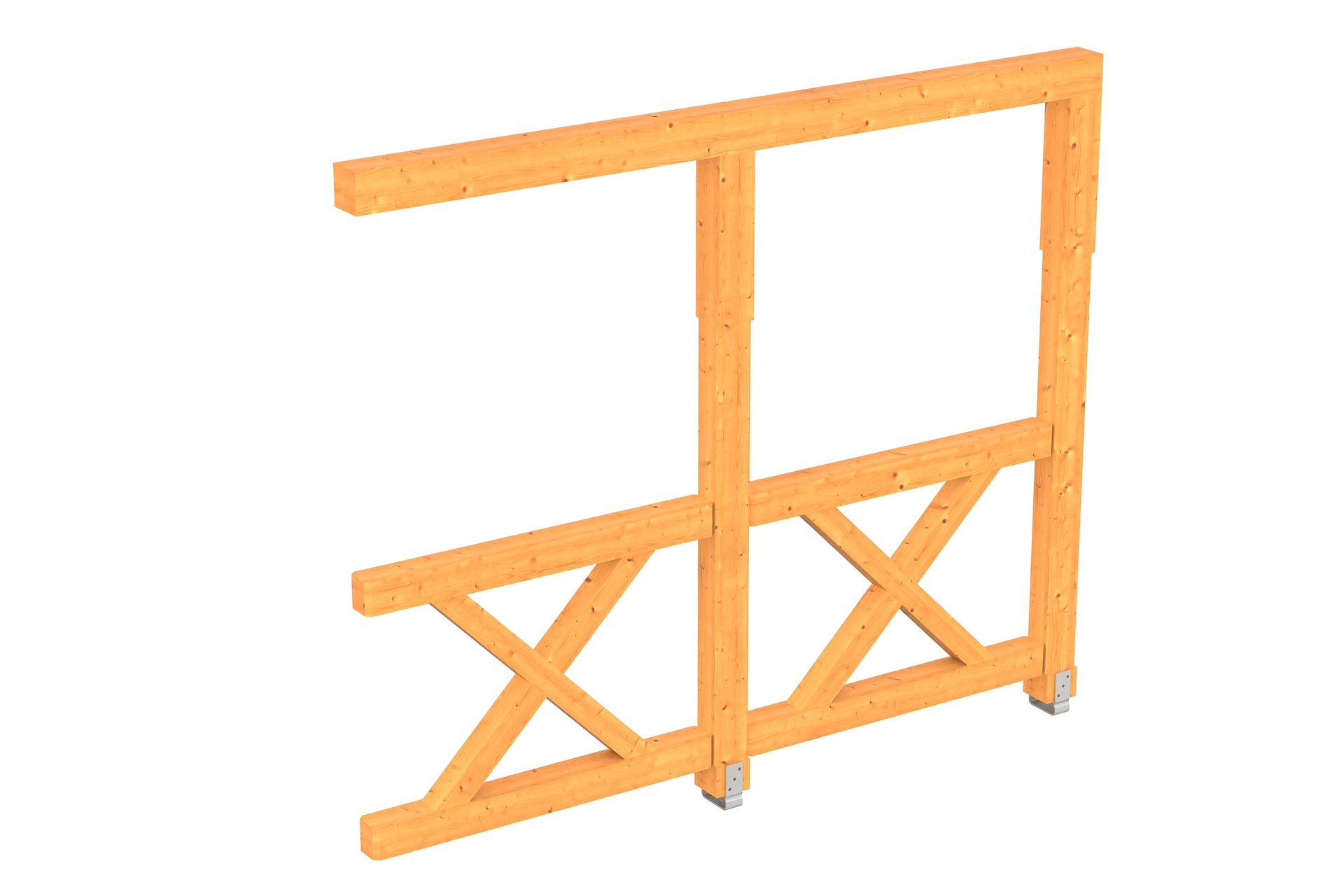 Douglasie 1 Douglasie