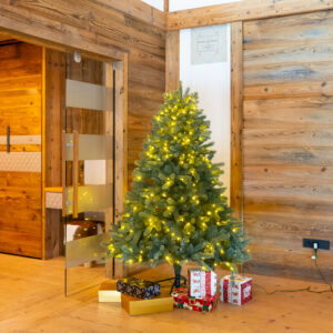 Weihnachtsbaum Vermont Fichte 180 cm