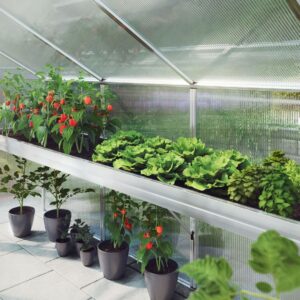 Pflanzwanne für Gewächshaus Ortasia