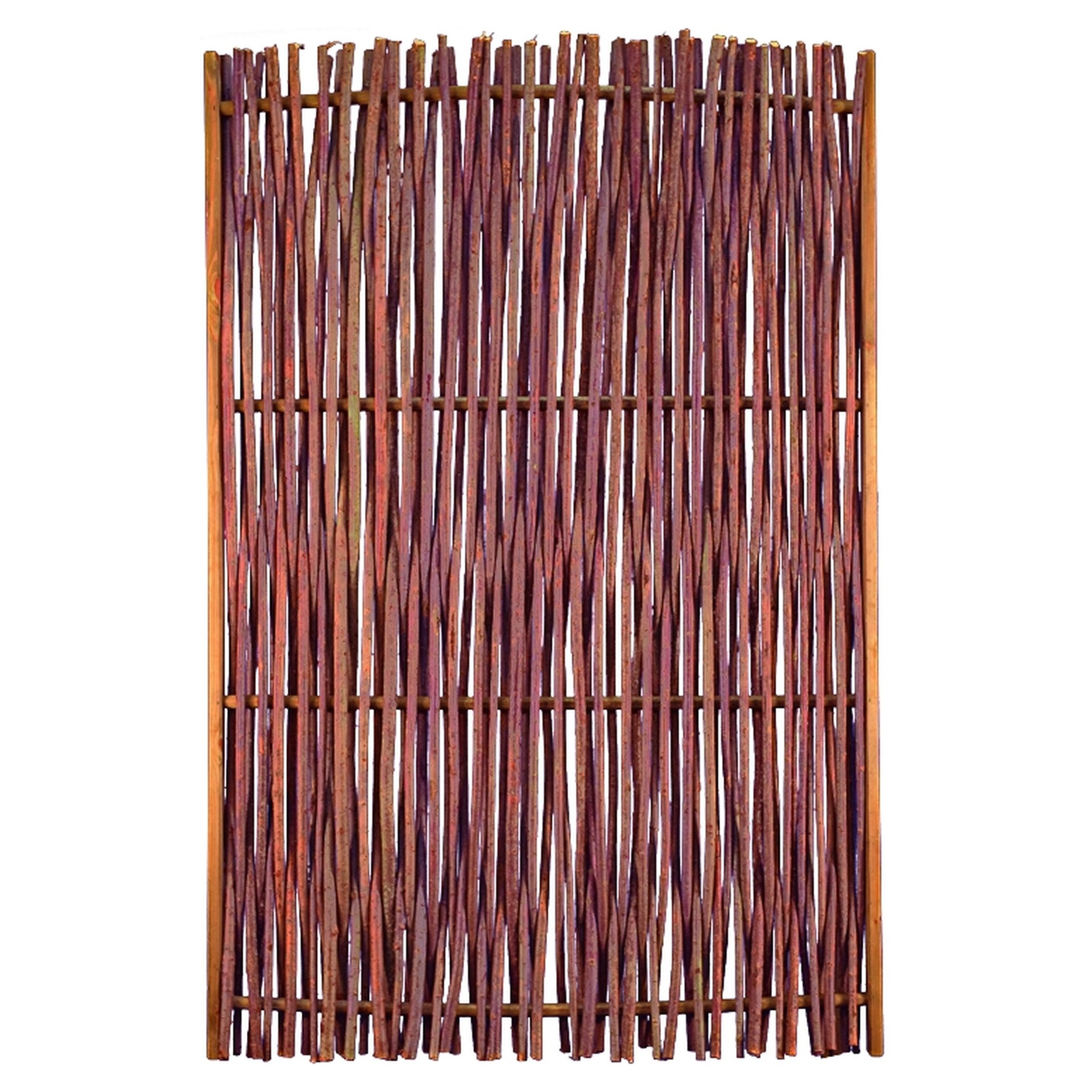 PEPE Haselnusszaun 1 PEPE Haselnusszaun