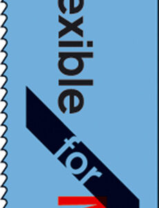 2 Fuchsschwanzsägeblätter S 922 EF