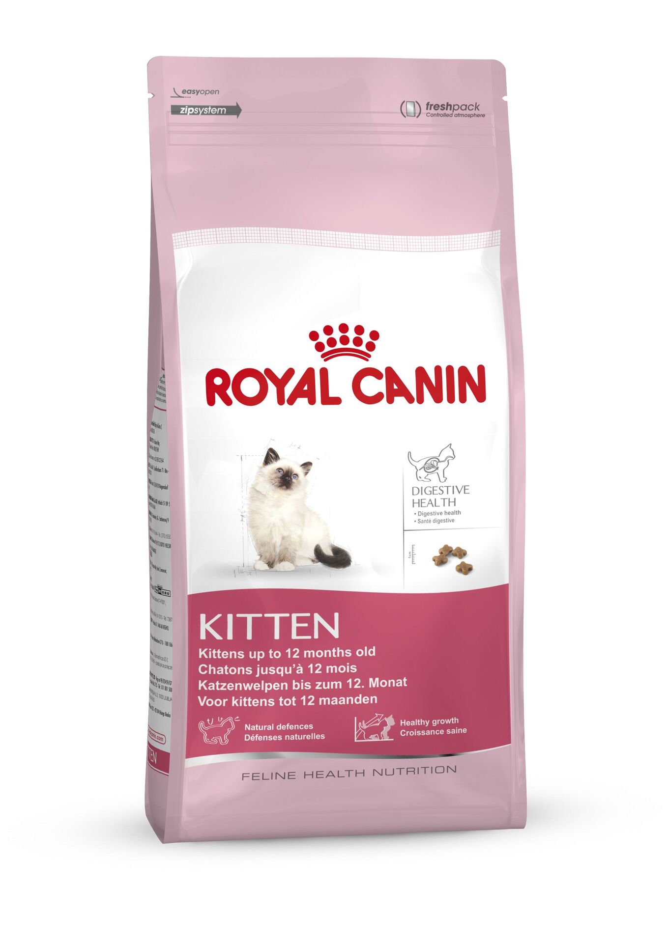 1231765 feline kitten 36