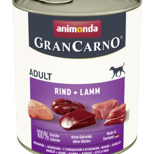 Dog GranCarno Adult