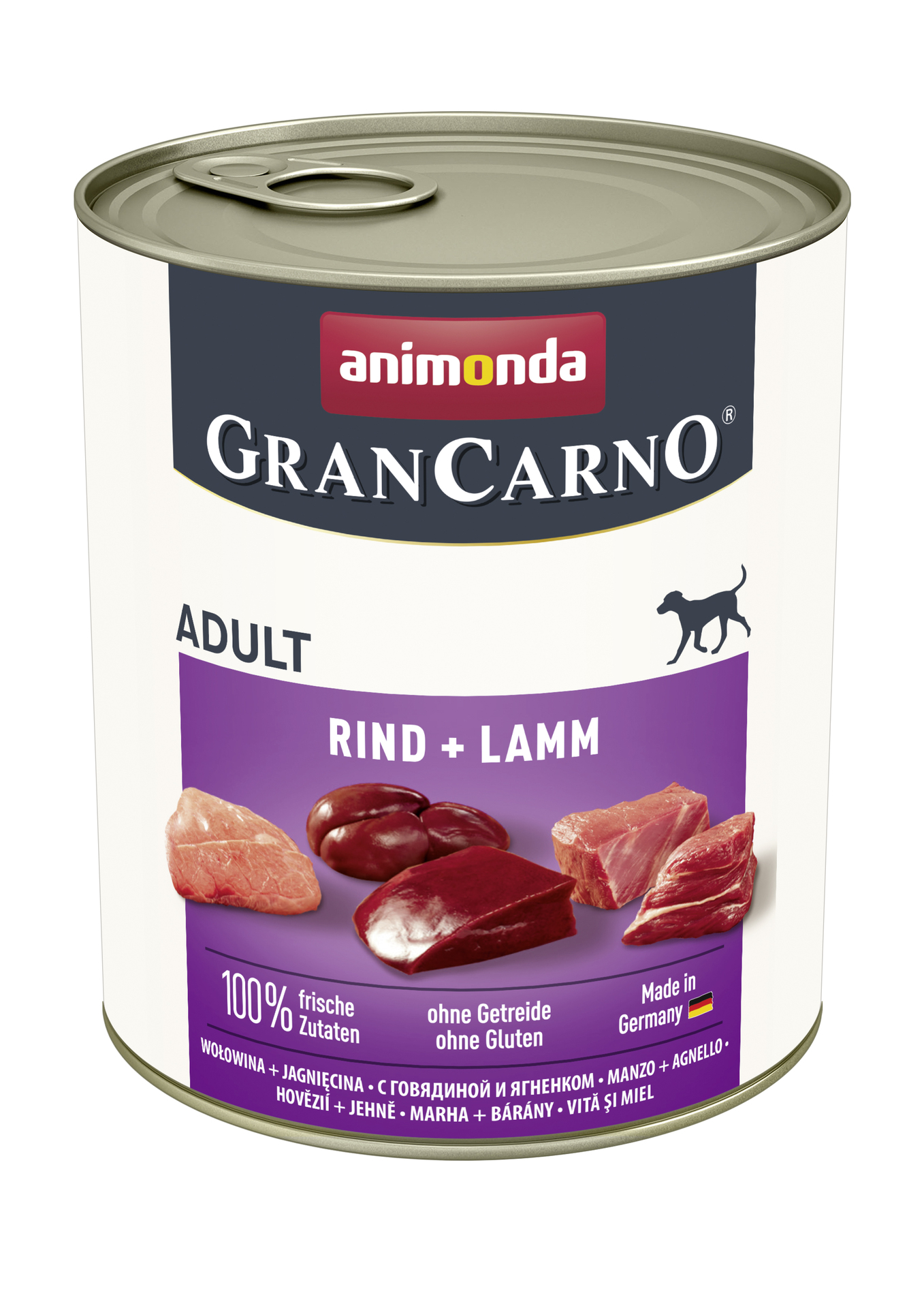 1232456 dog grancarno adult