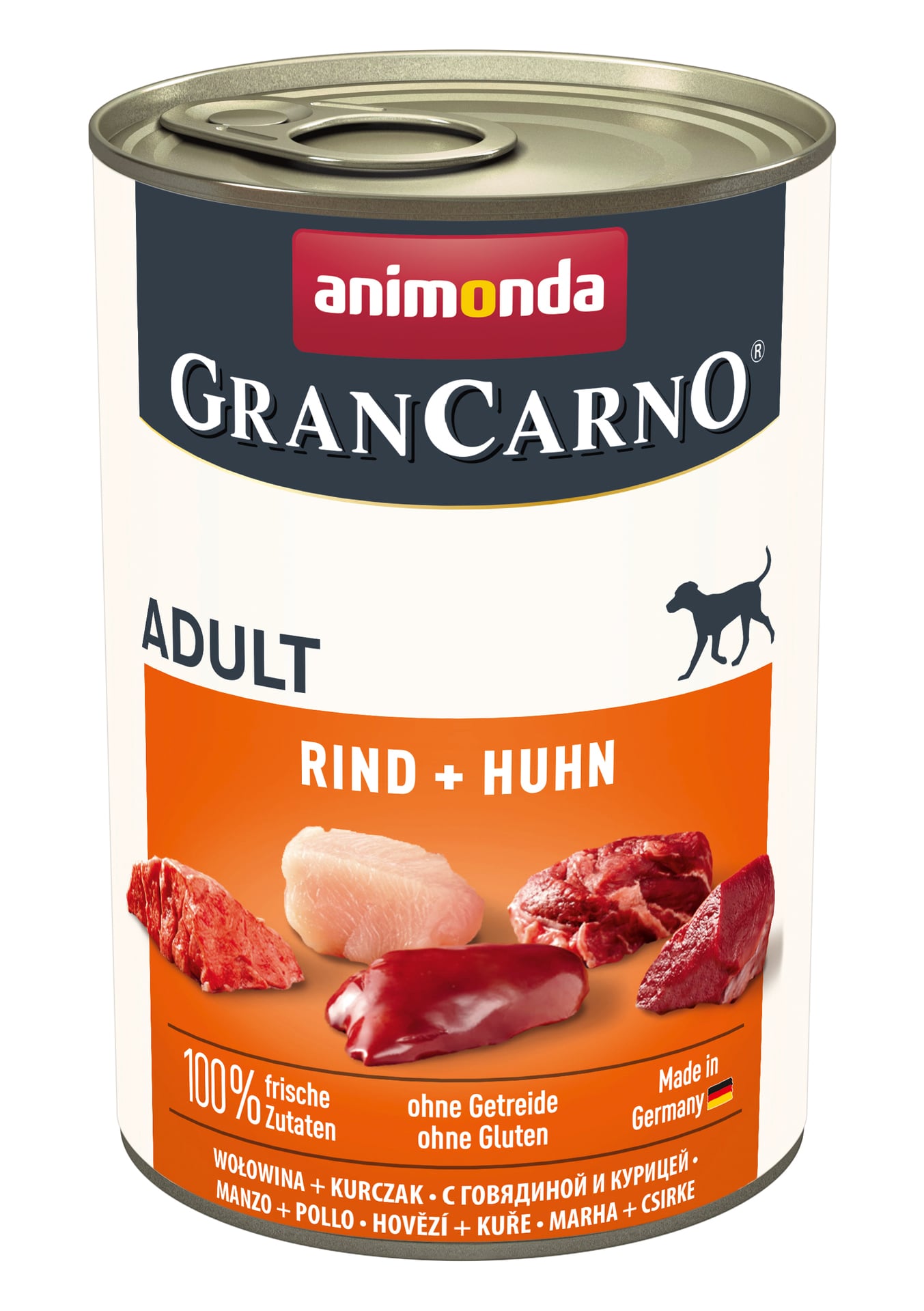 1252164 dog grancarno adult
