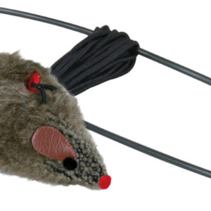 Maus zur Befestigung am Türrahmen