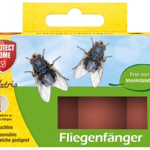 Fliegenfänger, 4 Stück