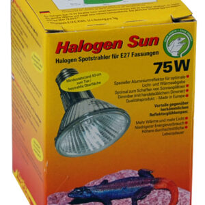 Halogen Sun