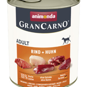 Dog GranCarno Adult