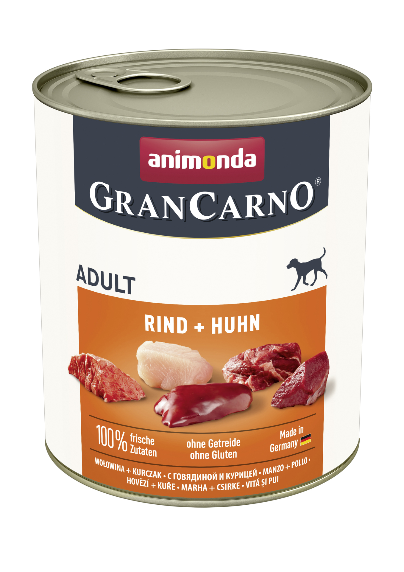 1453109 dog grancarno adult