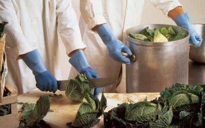 1463029 handschuh jersette 301 gr 8 blau