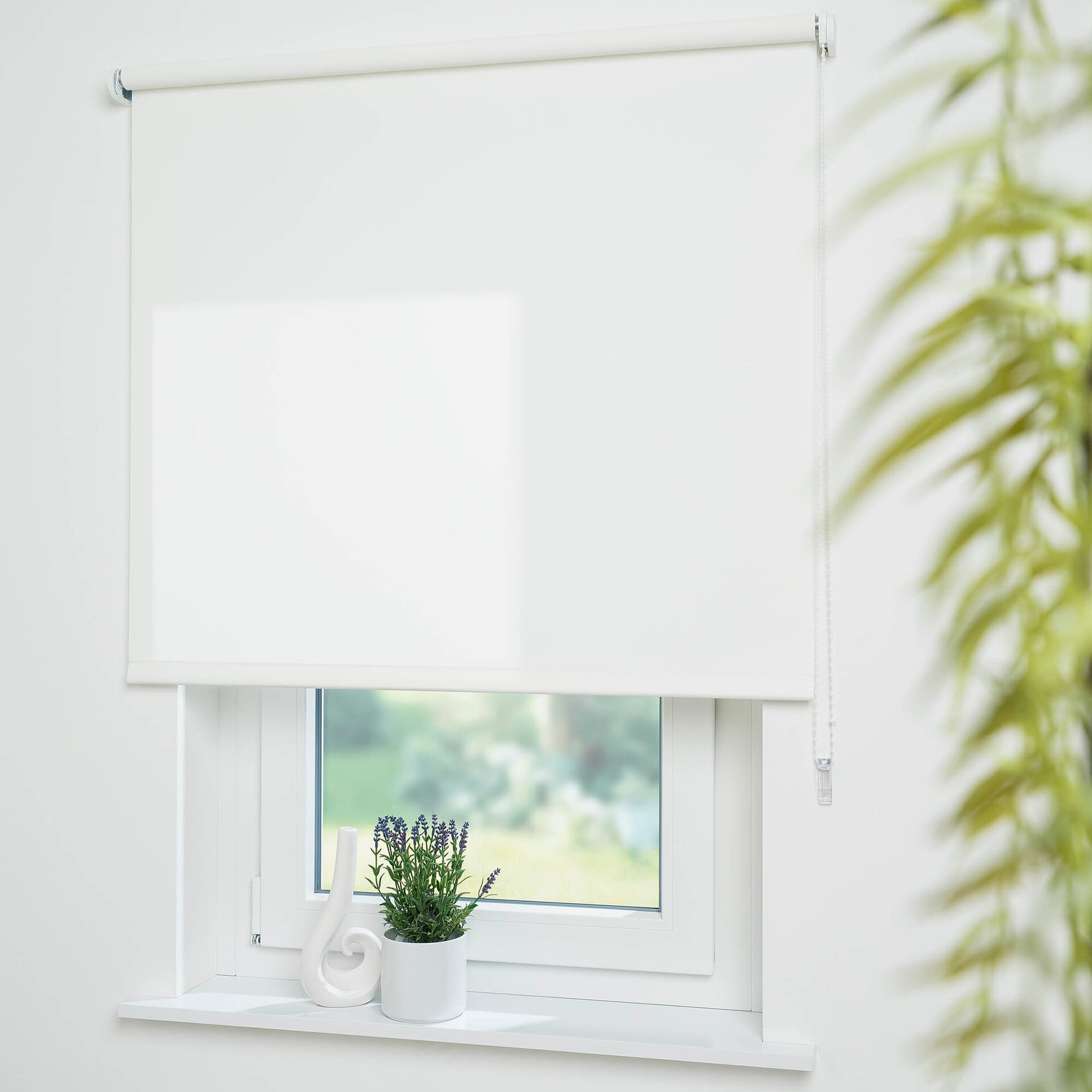 Seitenzug-Rollo Uni Tageslicht 1 Seitenzug-Rollo Uni Tageslicht