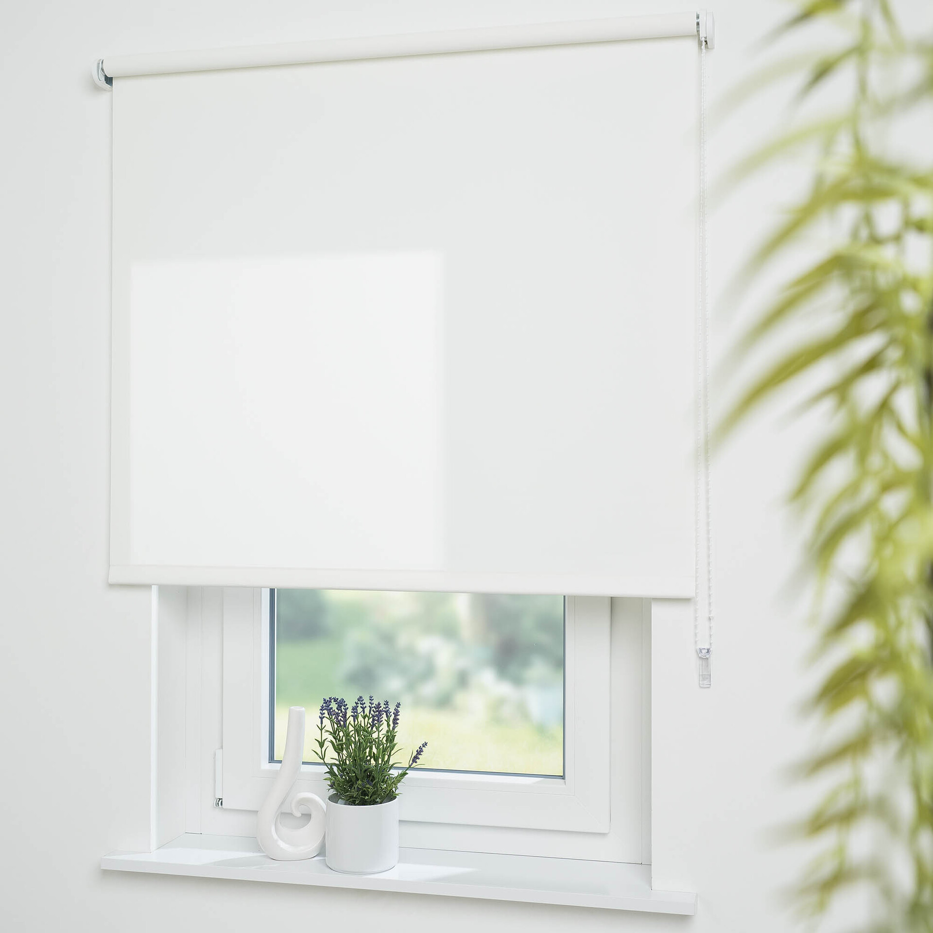 1513919 seitenzug rollo uni tageslicht