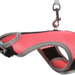 Softgeschirr mit Leine