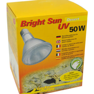 Bright Sun UV Desert