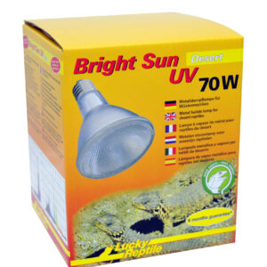 Bright Sun UV Desert