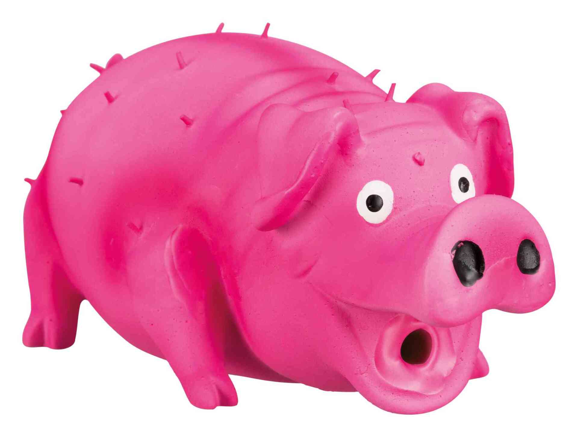 1620817 borstenschwein