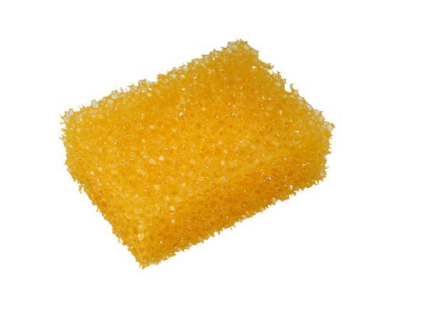 1624577 insektenschwamm