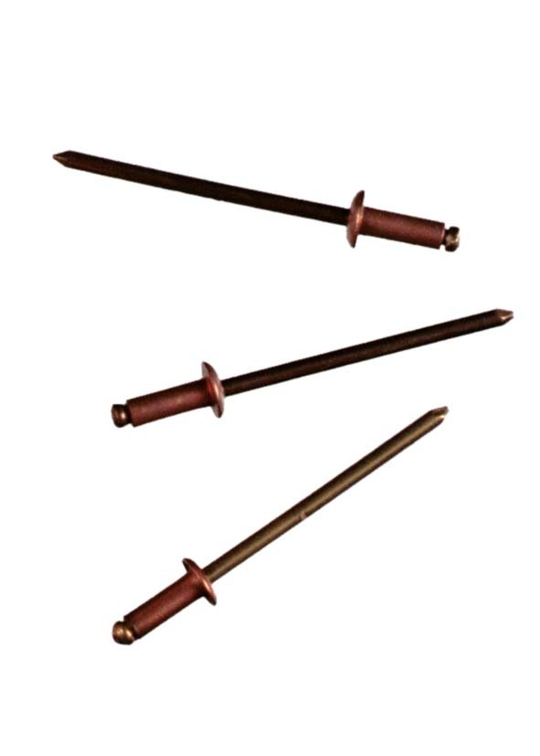 1675640 blindnieten kupfer