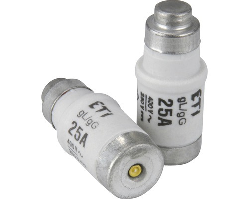 1689762 sicherung neozed