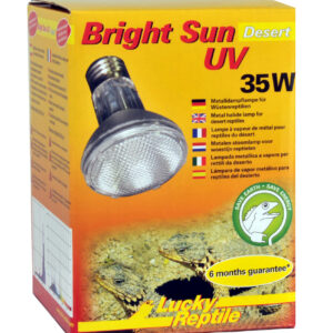 Bright Sun UV Desert