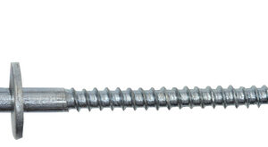 Schraubhaken gerade mit Beffe