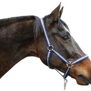 Nylonhalfter Hippo, Shetty