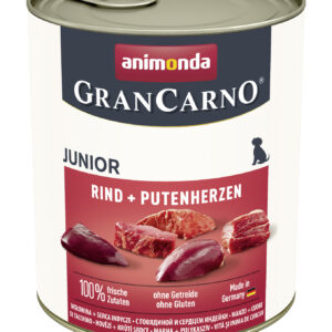 Dog GranCarno Junior