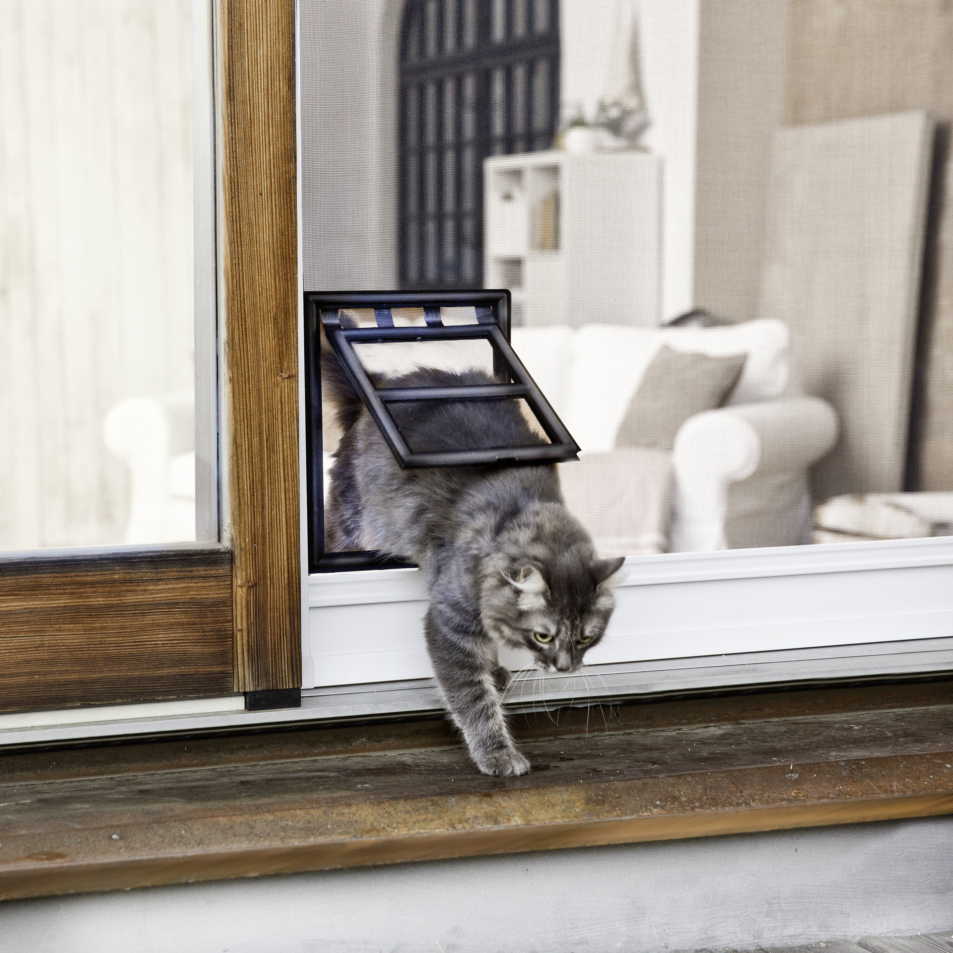 1940462 insektenschutz katzentuer clipsystem