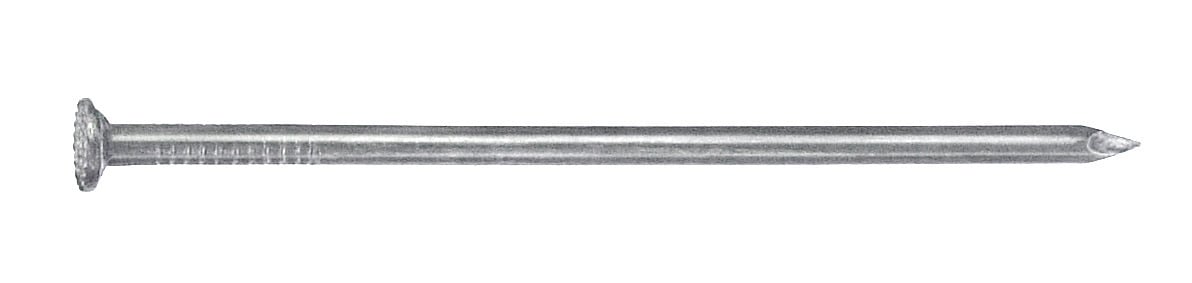 1941427 drahtnaegel versenkt verzinkt