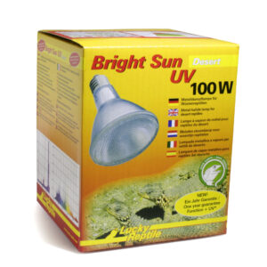Bright Sun UV Desert