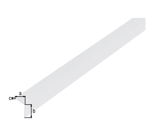 2038663 winkelprofil gleichsch