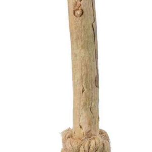 Katzenspielzeug Matatabi Besen