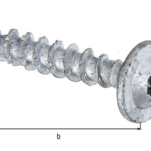 Holzschraube ZnAl Box à 4 St.