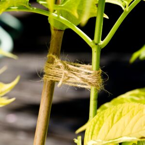 Flachs-Gartenschnur 80m