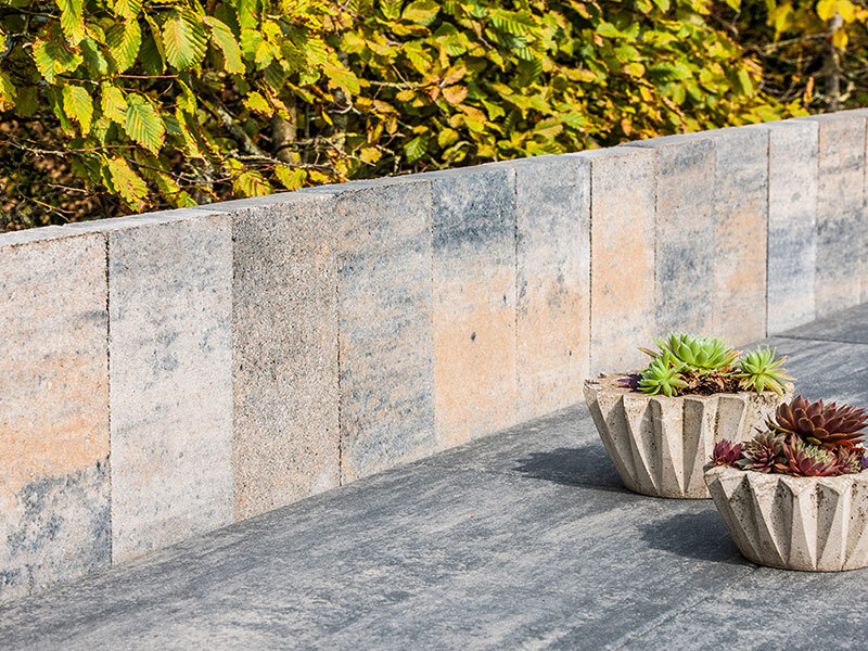 2256529 palisade loreta