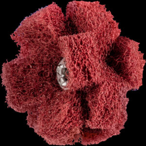 POLINOX-Sterne PNST, Gewinde 8-32 UNC