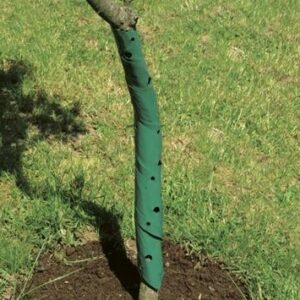 Baumschutzspirale 2er, 60 cm