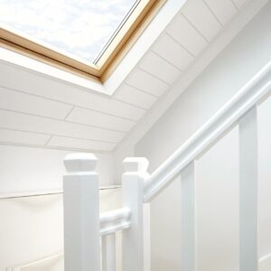 Paneel Esche Weiß Nut-Feder