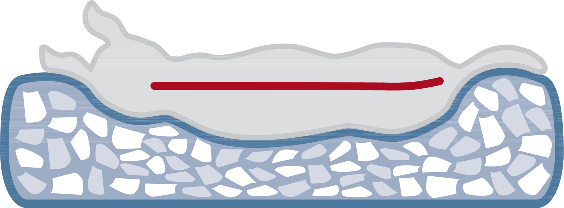 2316433 vital bett noah