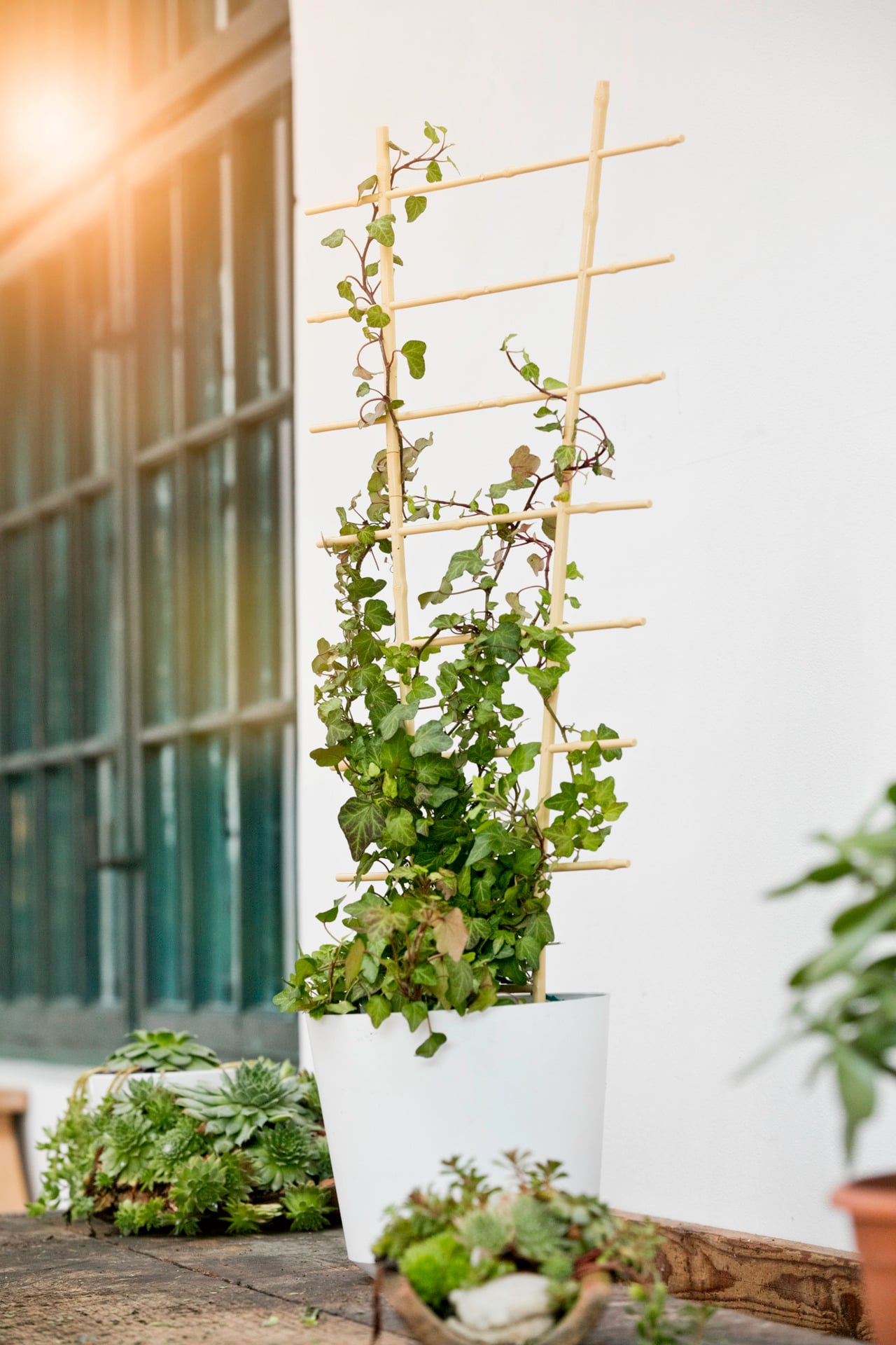 2336657 blumenstuetze bambus 2 stk