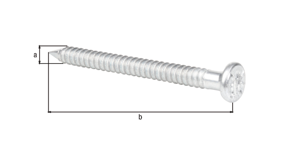 2342773 ankernagel verpackt 250 st