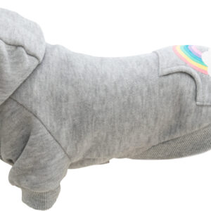 Hoodie Rainbow Falls