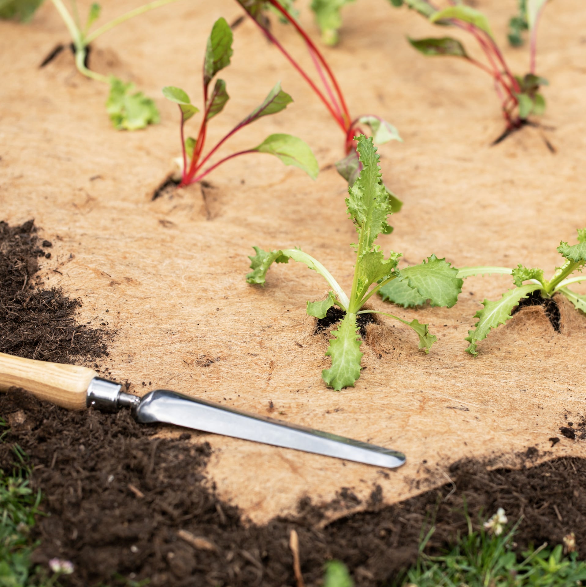 2425780 jute vlies mulchmatte