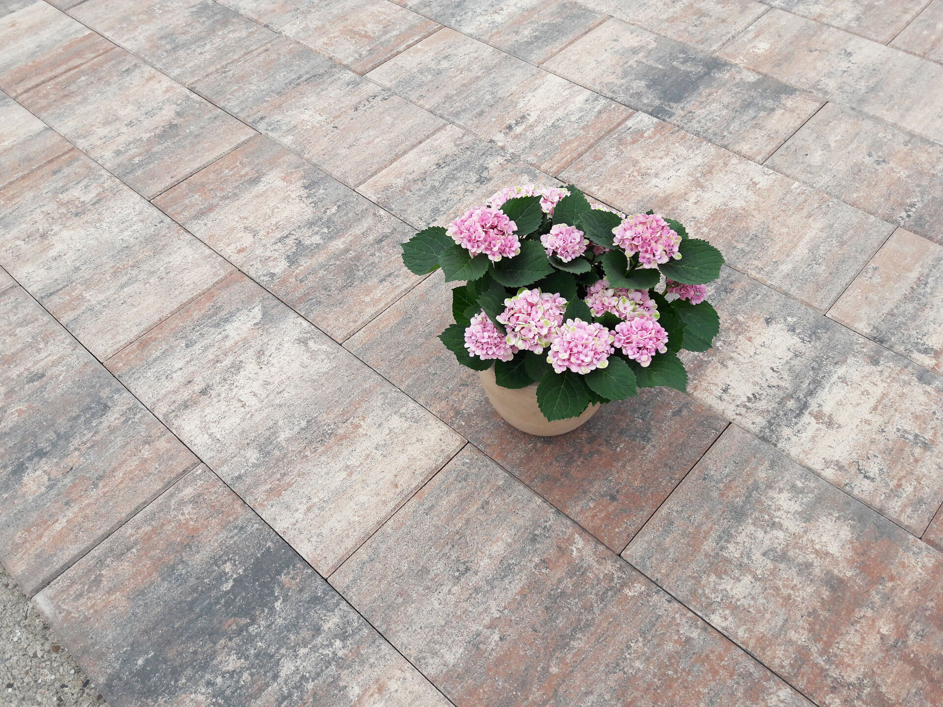 2458762 terrassenplatte figuera