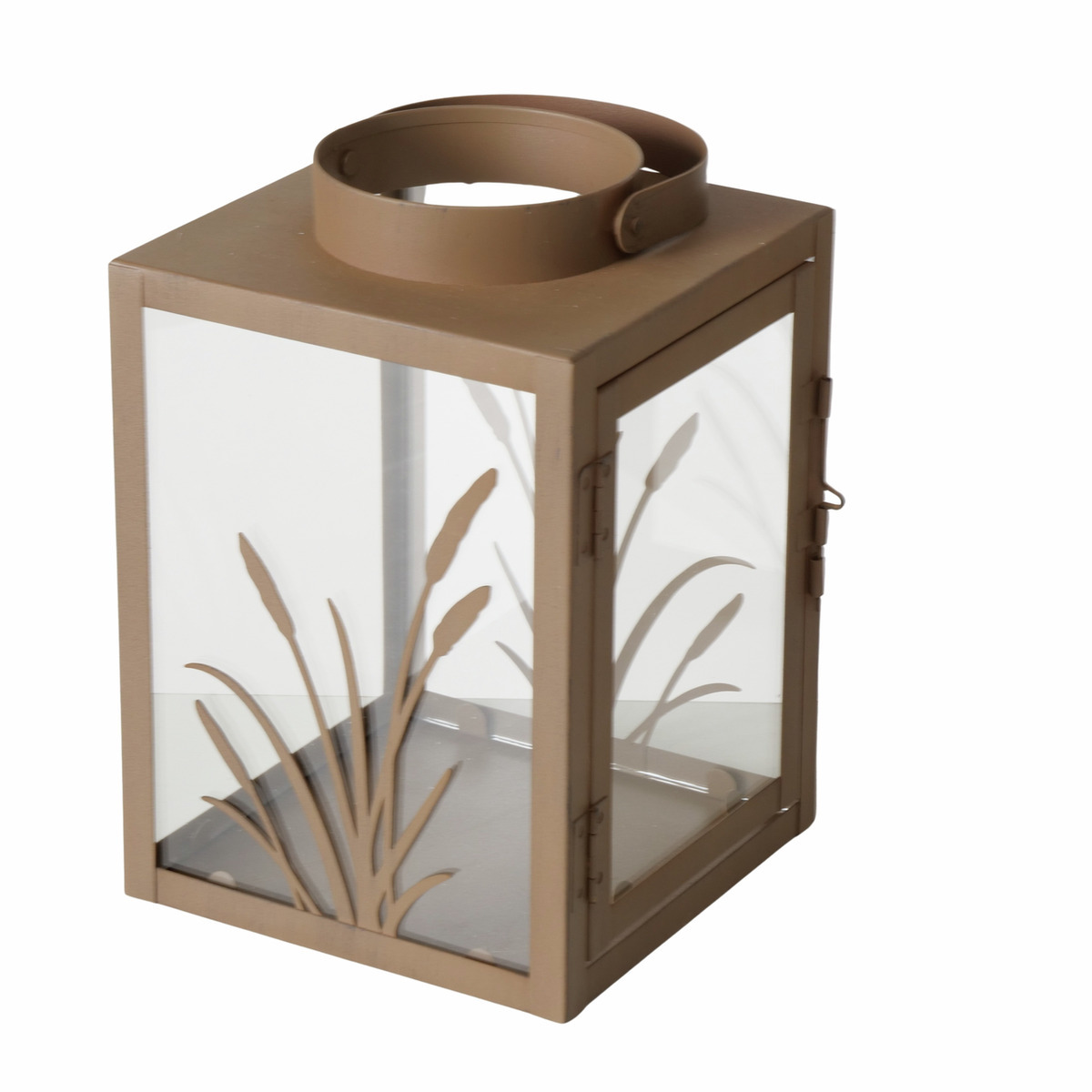 2719864 laterne nolani