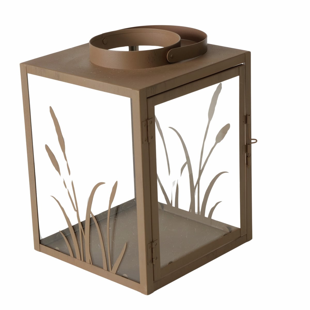 2719865 laterne nolani